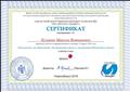 Сертификат участника семинара "Технологии для образования: беспроводная школа и электронная библиотека в школе"